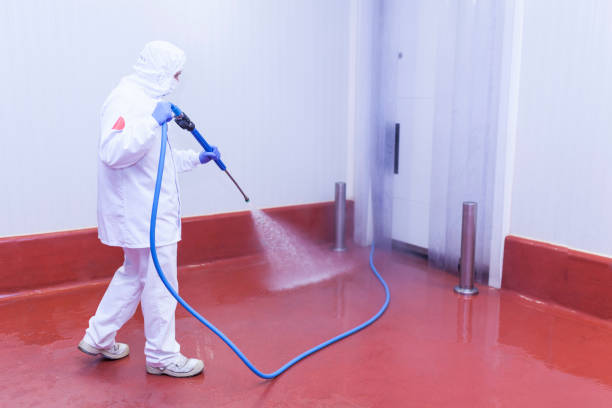 Best Gas Station Cleaning  in Canton, IL